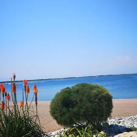 En Rdc Avec Terrasse Fleurie Et Acces Espace Aquatique - Fr-1-195-119 Ле Баркарес